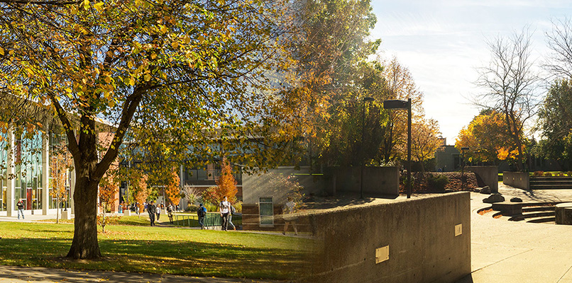 Outdoor shots of SFCC and SCC in fall, merging into one image.