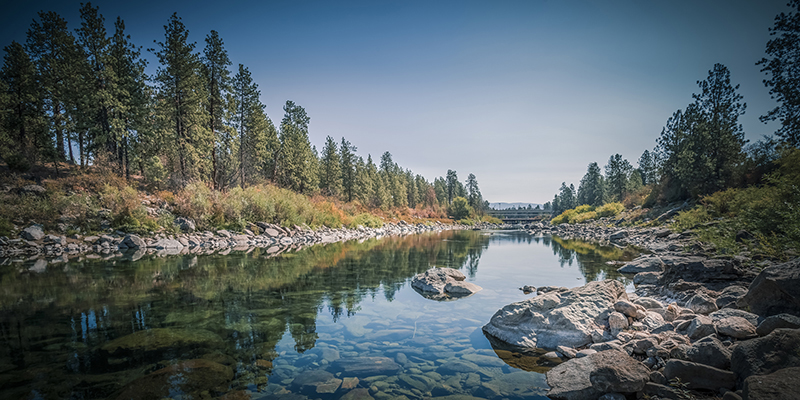 Image of the Spokane river in spring, with trees in the background